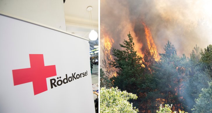 Röda Korset, Brand, Skogsbrand